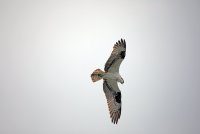 IMG_0201.JPG