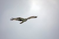 IMG_0214.JPG