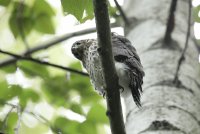 IMG_0065.JPG