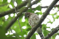 IMG_0154.JPG