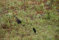 IMG_0104.JPG