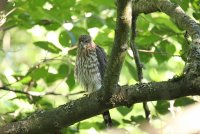 IMG_0092.JPG