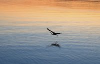 IMG_0077.JPG