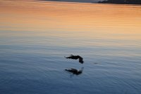 IMG_0078.JPG