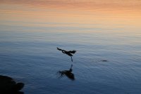 IMG_0079.JPG