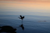 IMG_0080.JPG