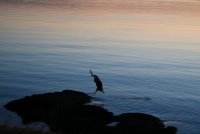 IMG_0081.JPG