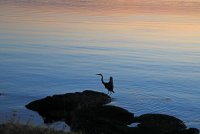 IMG_0082.JPG