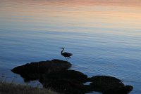IMG_0083.JPG