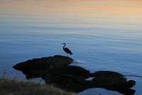 IMG_0084.JPG