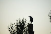 IMG_0039.JPG