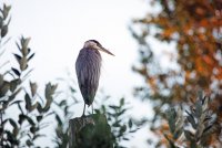 IMG_0049.JPG