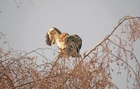 IMG_0147_edited-1.jpg
