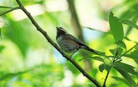 IMG_0015.JPG