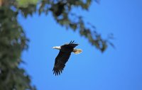 IMG_0042.JPG