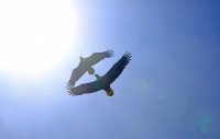 IMG_0106.JPG