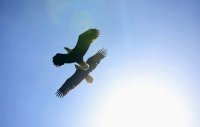 IMG_0107.JPG