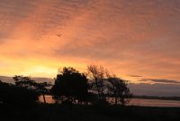 IMG_0062.JPG