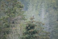 IMG_0064.JPG