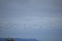 IMG_0074.JPG