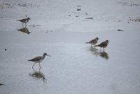 IMG_0109.JPG
