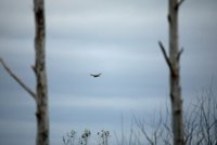 IMG_0152.JPG