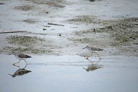 IMG_0180.JPG