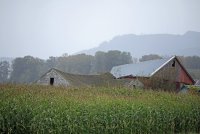 IMG_0188.JPG