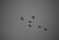 IMG_0058.JPG
