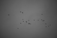 IMG_0071.JPG