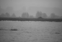IMG_0328.JPG
