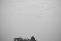 IMG_0374.JPG