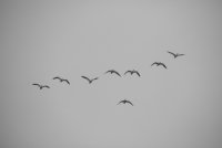 IMG_0406.JPG