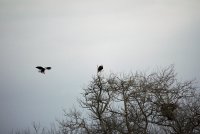 IMG_0091.JPG