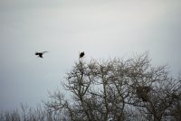 IMG_0092.JPG