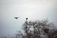 IMG_0093.JPG