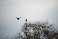 IMG_0094.JPG