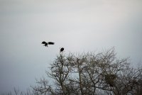 IMG_0095.JPG