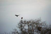 IMG_0096.JPG