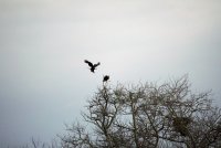 IMG_0099.JPG