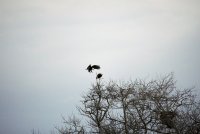 IMG_0100.JPG