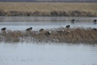 Loess Bluffs_4_121820.JPG