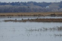 Loess Bluffs_6_121820.JPG