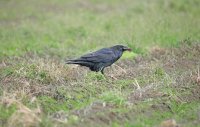 IMG_0175.JPG