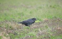 IMG_0176.JPG