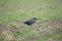 IMG_0178.JPG