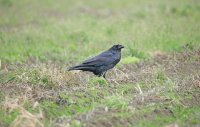 IMG_0183.JPG