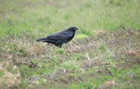 IMG_0189.JPG