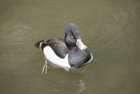 IMGM0293.JPG