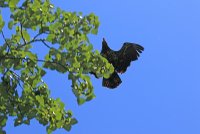2P1A0028.JPG